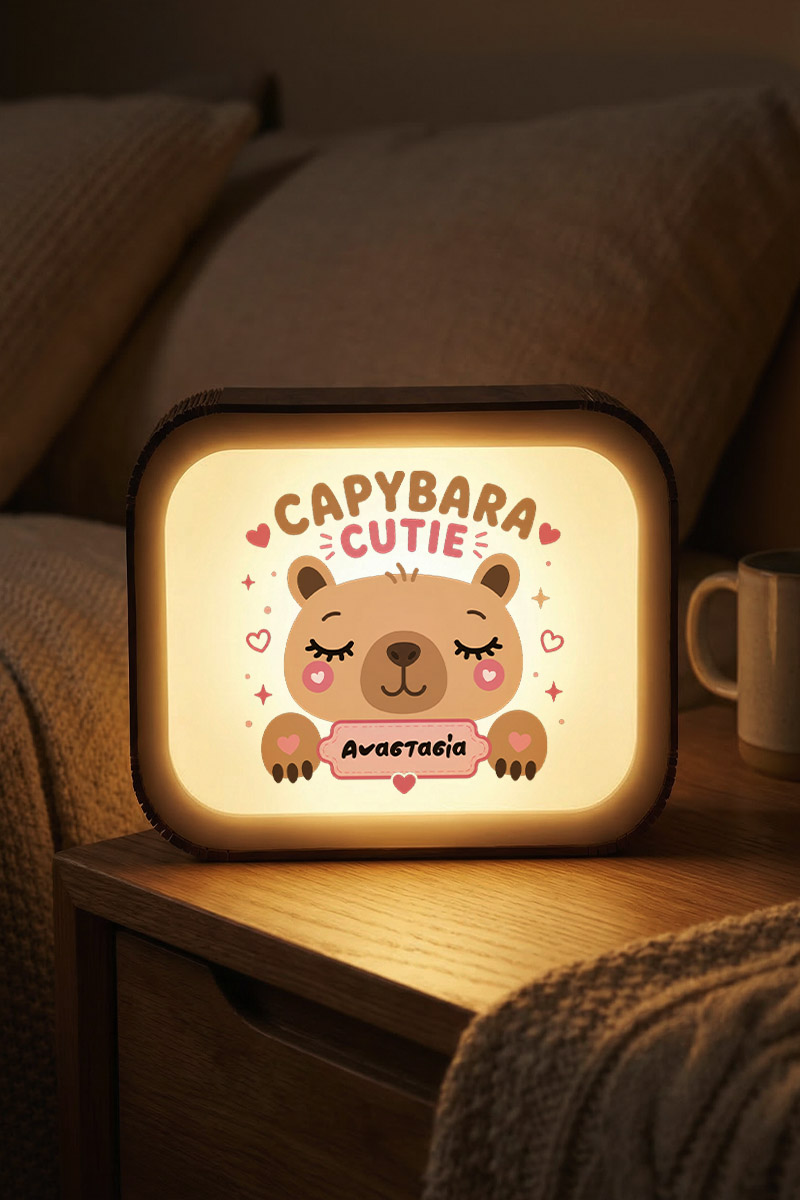 premium-lightbox-fotistiko-me-ektiposi-xg-0064-4.jpg