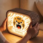 premium-lightbox-fotistiko-me-ektiposi-b-0021-1.jpg