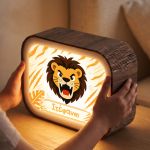 premium-lightbox-fotistiko-me-ektiposi-b-0023-1.jpg
