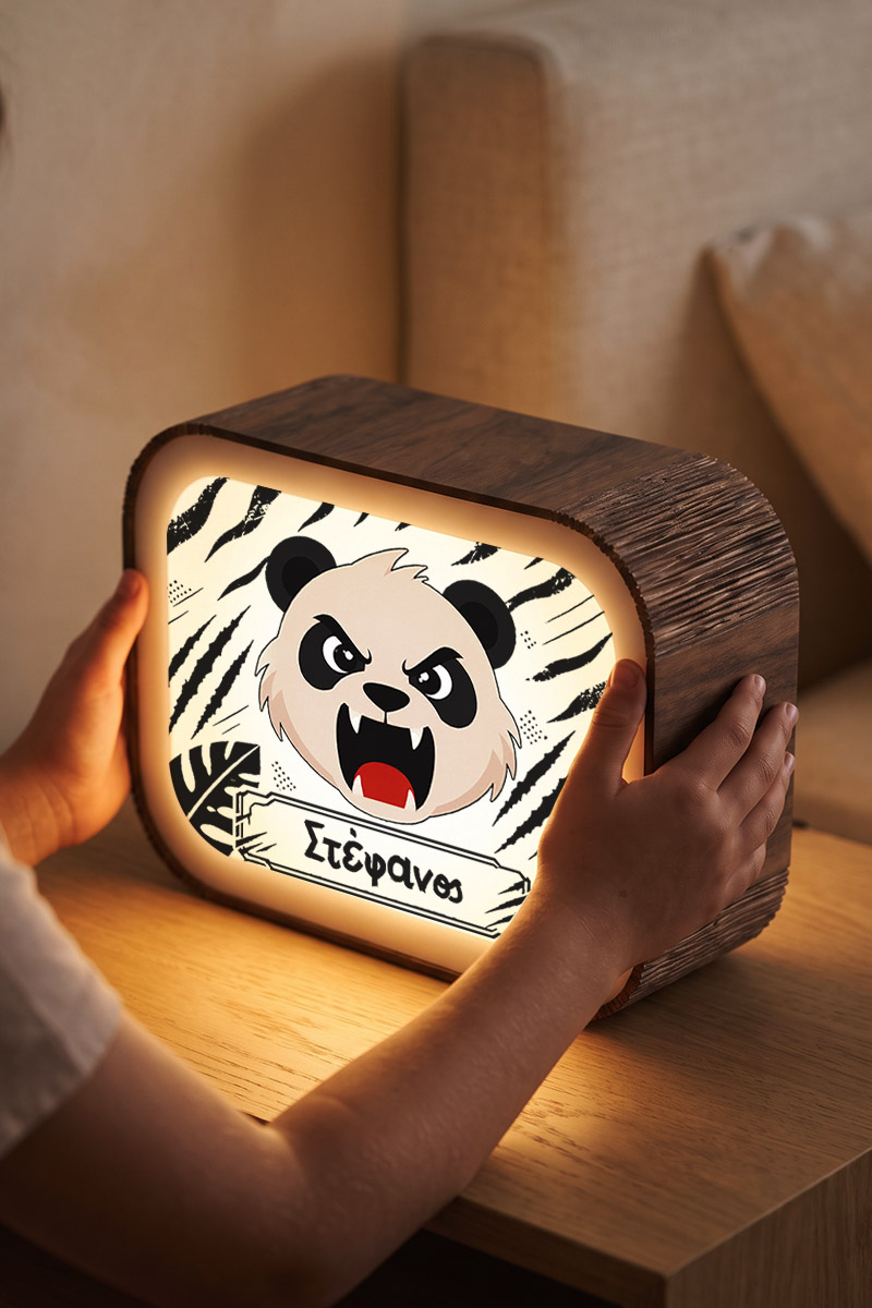 premium-lightbox-fotistiko-me-ektiposi-xh-0024-3.jpg