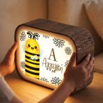 premium-lightbox-fotistiko-me-ektiposi-k-0048-1.jpg