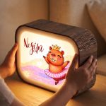 premium-lightbox-fotistiko-me-ektiposi-n-0050-1.jpg
