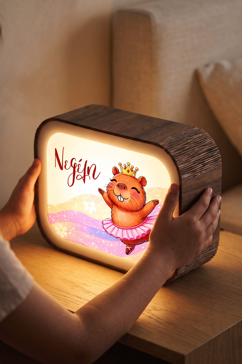 premium-lightbox-fotistiko-me-ektiposi-xh-0050-3.jpg