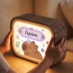 premium-lightbox-fotistiko-me-ektiposi-xe-0062-1.jpg