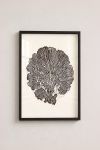 poster-wall-art-me-korniza-katheta-wd-010964-1.jpg