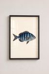 poster-wall-art-me-korniza-katheta-i-011144-1.jpg