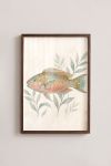 poster-wall-art-me-korniza-katheta-f-010811-1.jpg