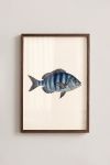 poster-wall-art-me-korniza-katheta-i-011144-1.jpg