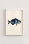 poster-wall-art-me-korniza-katheta-i-011144-1.jpg