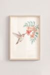 poster-wall-art-me-korniza-katheta-f-010768-1.jpg