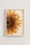 poster-wall-art-me-korniza-katheta-wa-010859-1.jpg