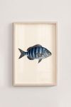 poster-wall-art-me-korniza-katheta-i-011144-1.jpg