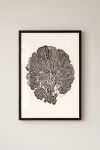 poster-wall-art-me-korniza-katheta-wd-010964-1.jpg