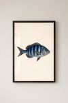 poster-wall-art-me-korniza-katheta-i-011144-1.jpg