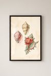 poster-wall-art-me-korniza-katheta-j-011155-1.jpg
