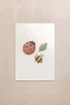 poster-wall-art-me-korniza-katheta-wb-010024-1.jpg