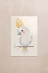 poster-wall-art-me-korniza-katheta-wc-010162-1.jpg