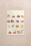poster-wall-art-me-korniza-katheta-wi-010262-1.jpg