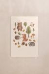 poster-wall-art-me-korniza-katheta-wa-010304-1.jpg