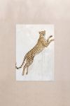 poster-wall-art-me-korniza-katheta-wc-010765-1.jpg