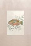 poster-wall-art-me-korniza-katheta-f-010811-1.jpg