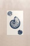 poster-wall-art-me-korniza-katheta-wg-010879-1.jpg