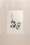 poster-wall-art-me-korniza-katheta-l-010886-1.jpg