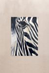 poster-wall-art-me-korniza-katheta-wa-011103-1.jpg