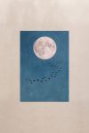 poster-wall-art-me-korniza-katheta-f-011140-1.jpg