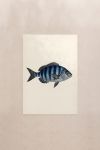 poster-wall-art-me-korniza-katheta-i-011144-1.jpg