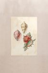 poster-wall-art-me-korniza-katheta-j-011155-1.jpg