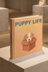 photobook-portrait-myikona-beige-f-1566-1.jpg