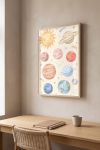 poster-wall-art-me-korniza-katheta-m-010240-1.jpg