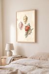 poster-wall-art-me-korniza-katheta-j-011155-1.jpg