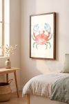 poster-wall-art-me-korniza-katheta-j-010185-1.jpg