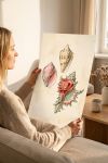 poster-wall-art-me-korniza-katheta-j-011155-1.jpg