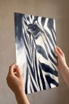poster-wall-art-me-korniza-katheta-wa-011103-1.jpg