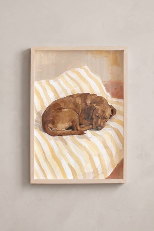 Premium Poster, Sweet Dreams Dog