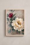 Premium Poster, Peony Blush Bloom