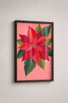 Premium Poster, Festive Poinsettia Bloom