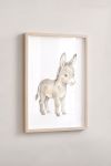 Premium Poster, Sweet Little Donkey