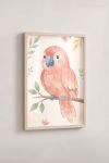 Premium Poster, Sweet Perch Parrot