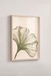 Premium Poster, Ginkgo Serene Flow