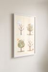 Premium Poster, Four Seasons Trees