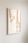 Premium Poster, Curious Giraffe Friend