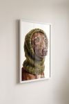 Premium Poster, Cozy Canine Portrait