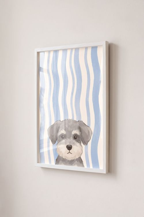 Premium Poster, Wavy Schnauzer Pup
