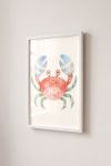 Premium Poster, Watercolor Crab Friend