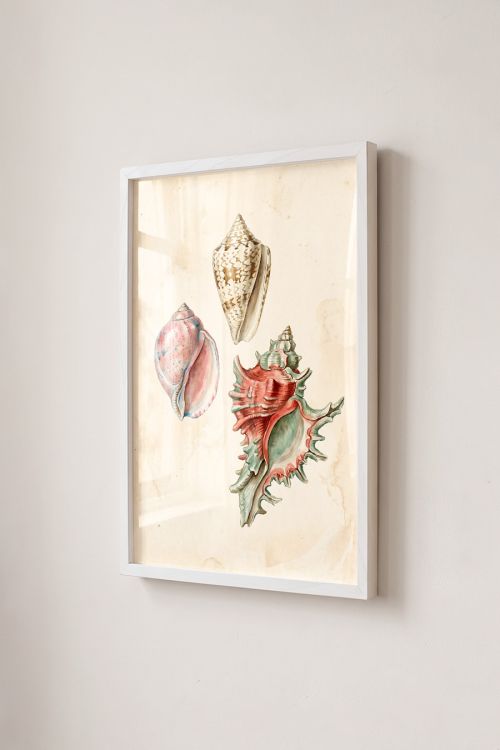 Premium Poster, Oceanic Treasures Vintage