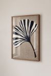 Premium Poster, Ginkgo Stripe